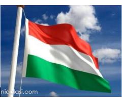 Online i uživo časovi mađarskog jezika