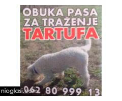 Psi za trazenje tartufa -Tartufari