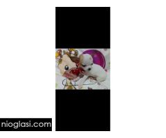 Mini civave - Slika 4/5