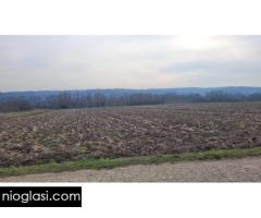 Parcela 1.8hektara (visokonaponska struja) ravna - Slika 3/5