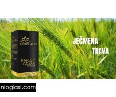 Barley Grass Premium – Ječmena trava