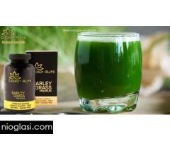 Barley Grass Premium – Ječmena trava - Slika 4/4