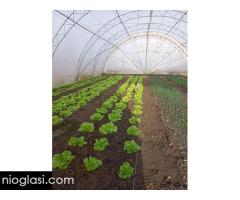 Kuća u Deču, opština Pećinci - Slika 19/20