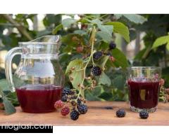 Matični sok od KUPINE - Antikancerogeno dejstvo (100% voće) - Slika 6/10